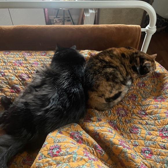 Meet Your Posher, RoxyRae! ☆ - Picture 3 of 5